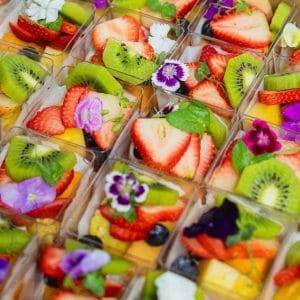 11080Mini Fruit Cup