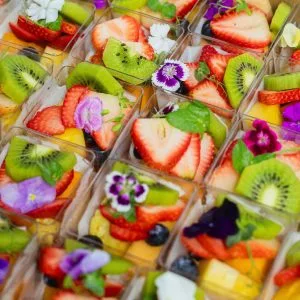 11080Mini Fruit Cups